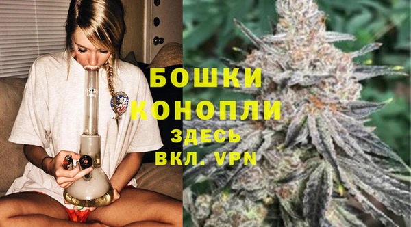 МДПВ Рославль