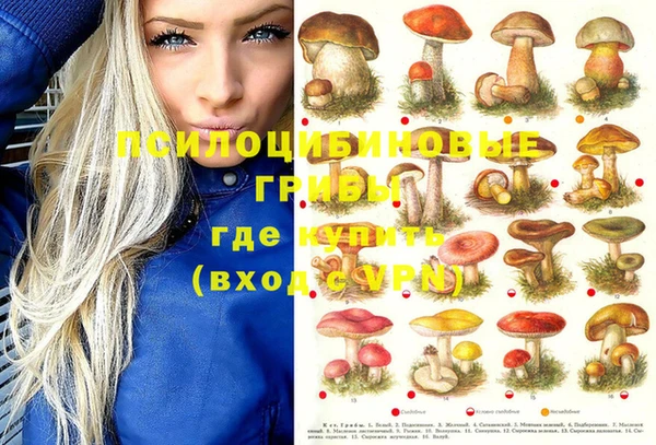 jwh Абаза