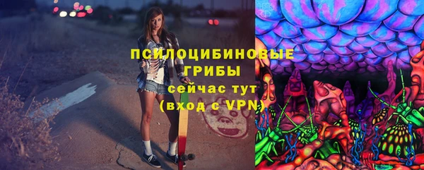 сатива Абинск
