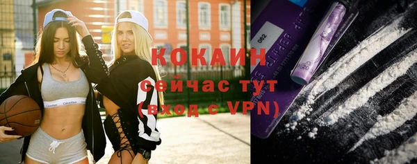 МДПВ Рославль