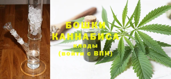сатива Абинск